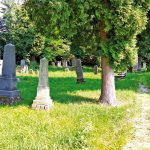 zidov_pokopalisce_01 zidov_pokopalisce_01